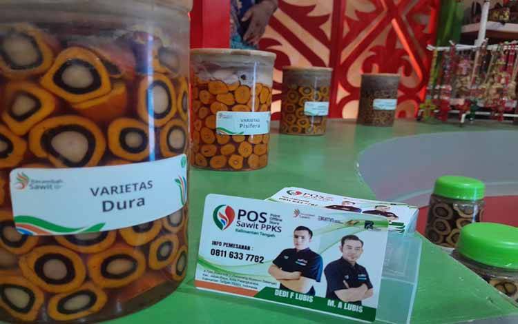 Disbun Edukasikan Varietas Unggulan Kelapa Sawit pada Kalteng Expo 2024