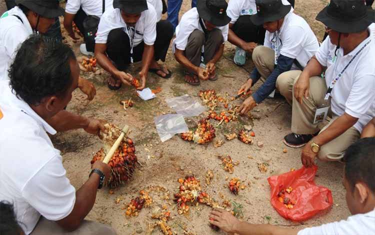 Pekebun Lamandau Diajak BPDPKS dan Ditjenbun Kunjungi KUD Tani Subur di Kobar