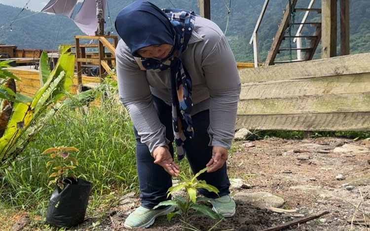 Penanaman Pohon Warnai Kegiatan Pengabdian Masyarakat Dosen USU