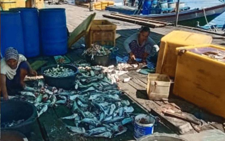 Pangkalan Pendaratan Ikan (PPI) Kuala Jelai Kabupaten Sukamara. (FOTO:HARF)