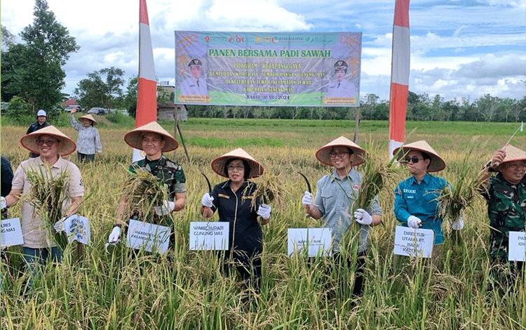 OJK Hadiri Panen Perdana Bersama Pertanian Jagung dan Padi di Gumas