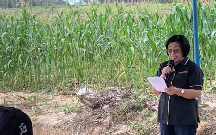 Wabup Gumas: Kedaulatan Pangan Jadi Basis Pembangunan Ketahanan Pangan