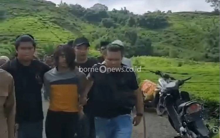 Anggota Polres Kerinci dan Polsek Kayu Aro saat menangkap pemuda terduga pelaku pembunuhan ibu kandungnya di kawasan perkebunan teh Desa Sungai Asam, Kayu Aro Barat, Senin (27/5/2024). ANTARA/HO-Polsek Kayu Aro