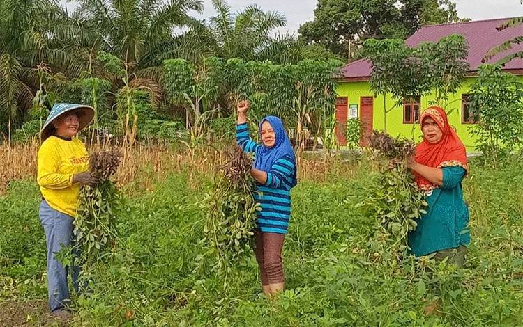 Bantuan Program Pertanian P2L Tingkatkan Perekonomian Kelompok Wanita Tani di Kobar