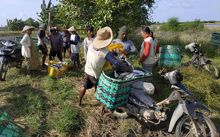 Pembudidaya di Kawasan Pertambakan Seruyan Butuhkan Akses Jalan