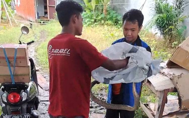 Tim Animal Rescue Pandulima Evakuasi Ular Piton dari Rumah Warga