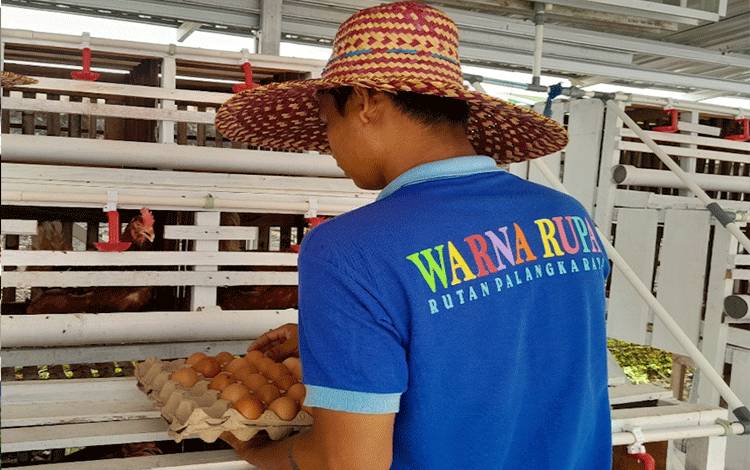 Rutan Palangka Raya Gencarkan Program Pembinaan Ayam Petelur