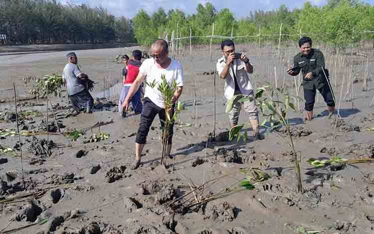 Hari Lingkungan Hidup Sedunia 2024, DLHK Seruyan Canangkan Arboretum dan Tanam Mangrove