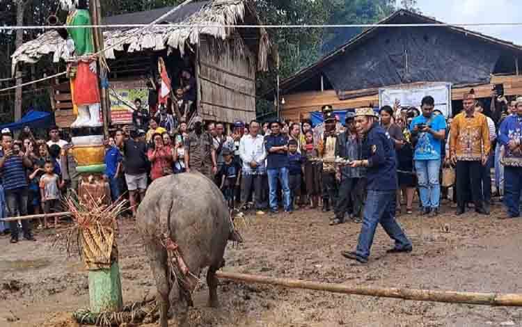 Tiwah Massal di Kelurahan Tampang Tumbang Anjir Masuk Prosesi Tabuh