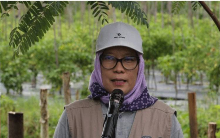 Pemko Palangka Raya Hadirkan 4 Program di Sektor Pertanian