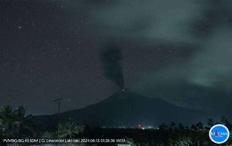 Gunung Lewotobi Laki-Laki Lontarkan Abu Vulkanik Setinggi 700 Meter