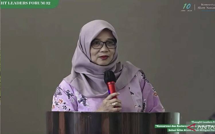 BRGM Sebut Penurunan Kebakaran Terjadi di Lahan Gambut