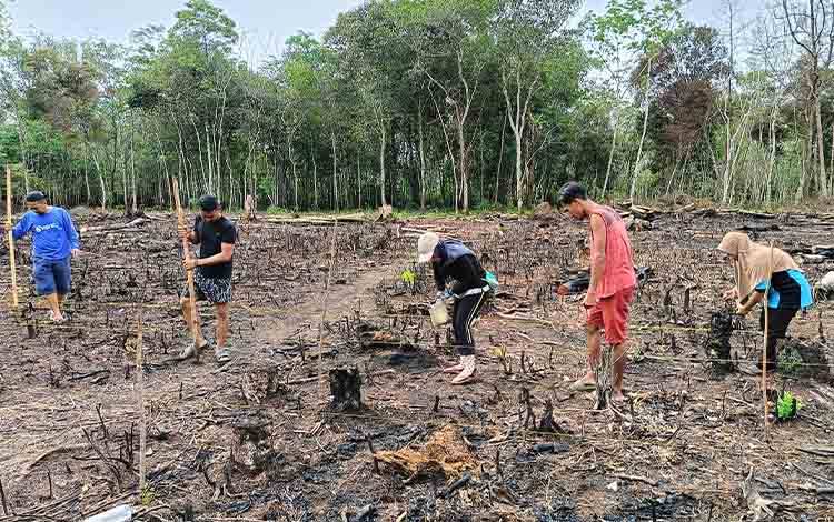 Pemdes Matabu Barito Timur Tanam Jagung di Lahan Ketahanan Pangan?