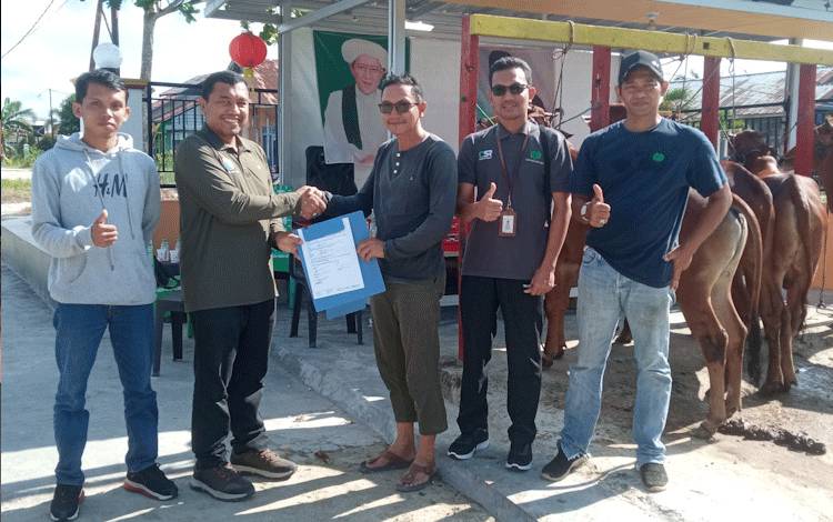 Jelang Idul Adha 1445 H, Pendistribusian Hewan Kurban Keluarga H Abdul Rasyid AS-Hj Nuriyah untuk Wilayah Kobar Mulai Dilakukan
