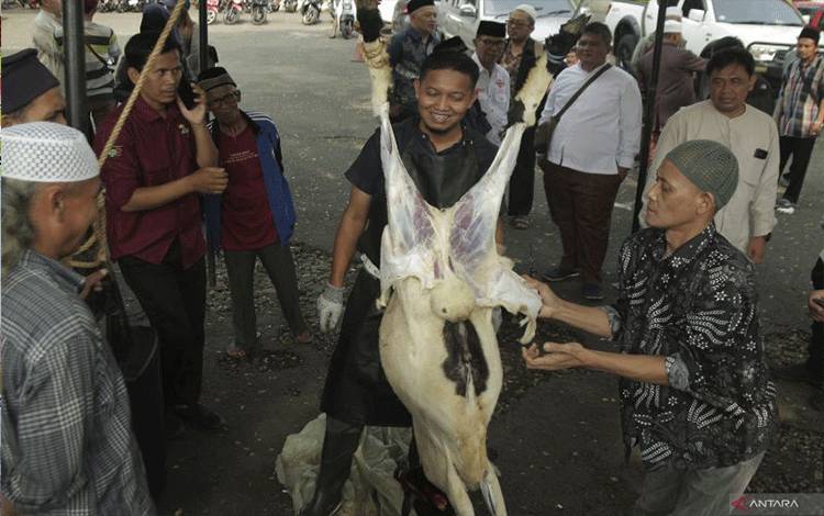 KLHK Ingatkan Penanganan Khusus Limbah Penyembelihan Hewan Kurban