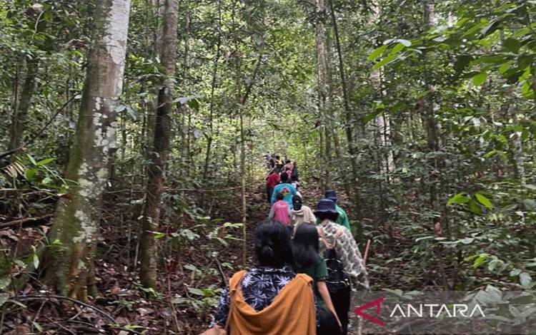 Petkuw Mehuey diartikan sebagai kelompok penjaga hutan, berjuang serta berpatroli melindungi kelestarian hutan Wehea. (ANTARA/HO-Dokumentasi pribadi)