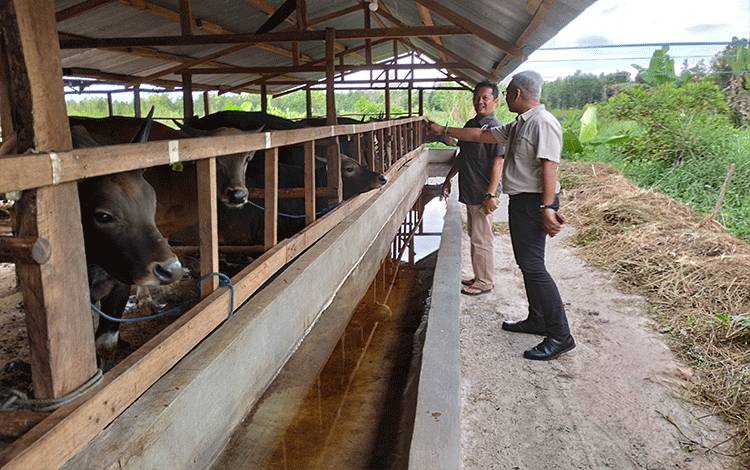 Pedagang Sapi Kurban Palangka Raya Ucapkan Terima Kasih Sebagai Penyuplai untuk Koperasi MSB