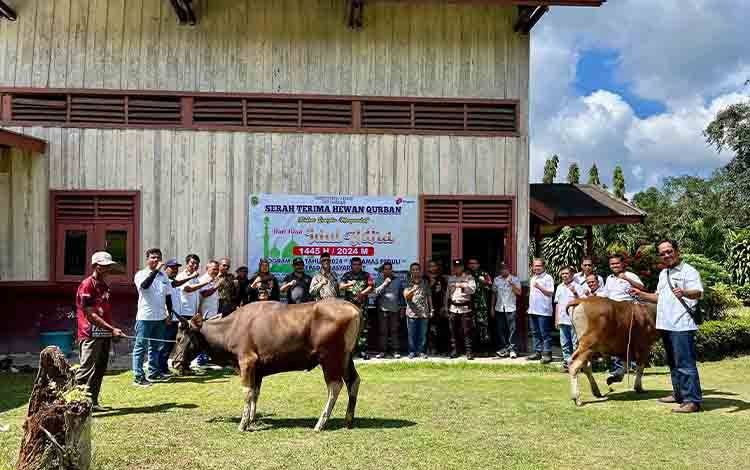 Rayakan Idul Adha 1445 H, PT Indotruba Tengah Bagikan 10 Hewan Kurban di Dua Kecamatan
