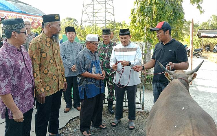 Pj Bupati Bartim Serahkan Secara Simbolis Bantuan 60 Sapi Kurban di Masjid Hasyim Al Husna Desa Magantis