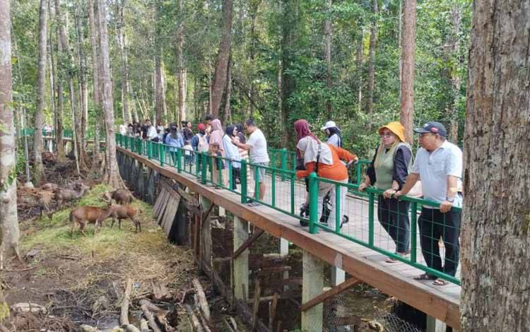 Wisata Hutan Nyaru Menteng Palangka Raya Ramai Dikunjungi Wisatawan