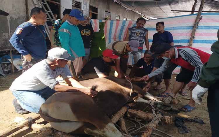 Penyembelihan hewan kurban di Masjid Al-Muhajirin DPC LDII Kabupaten Kapuas. (FOTO: IST)