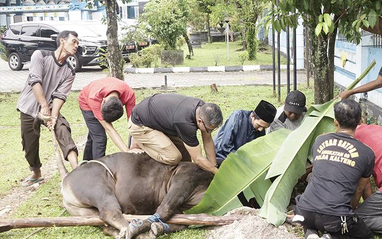 Kanwil DJPB Kalteng dan Bea Cukai Bagikan Berkah Idul Adha kepada Masyarakat Palangka Raya