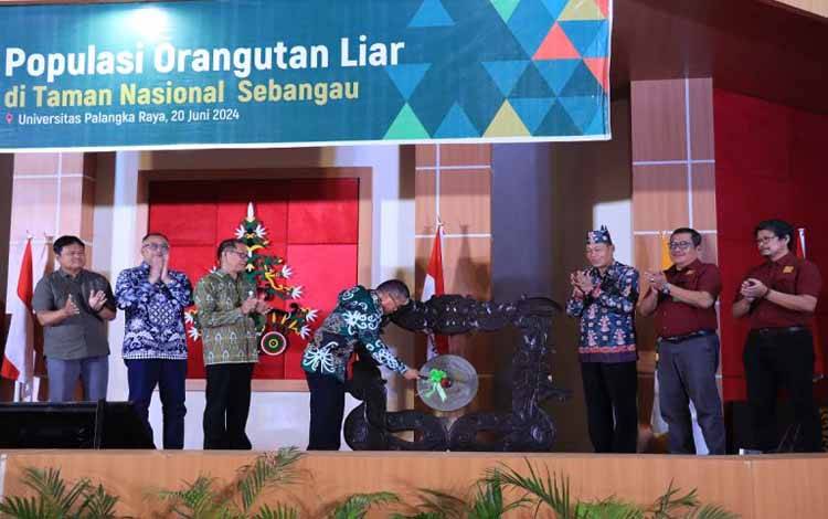 Populasi Orangutan di Taman Nasional Sebangau Meningkat