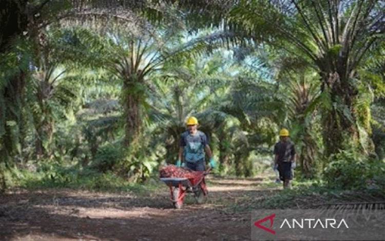 Polda Kalteng Bersama Satgas PKS Tingkatkan Pengamanan Kebun Sawit