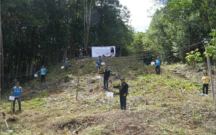 PLN Tanam 5.200 Bibit Pohon Dukung Pelestarian Tahura Lapak Jaru