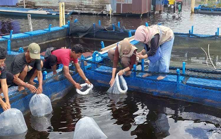 Kelompok Pembudidaya Ikan saat menebar bibit ikan nila yang telah diserahkan Dinas Perikanan Seruyan (Foto : Fahrul)