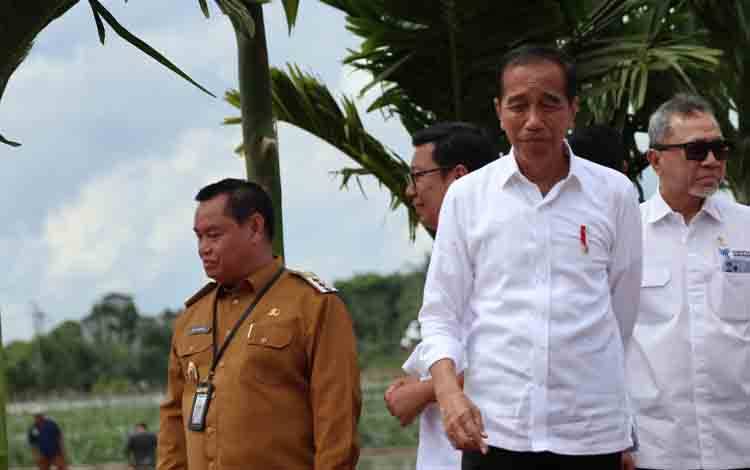Bupati Kotawaringin Timur Halikinnor mendampingi Presiden RI Joko Widodo meninjau sawah tadah hujan di Desa Bapeang, Kecamatan Mentawa Baru Ketapang, Rabu, 26 Juni 2024. (FOTO: RILIS)