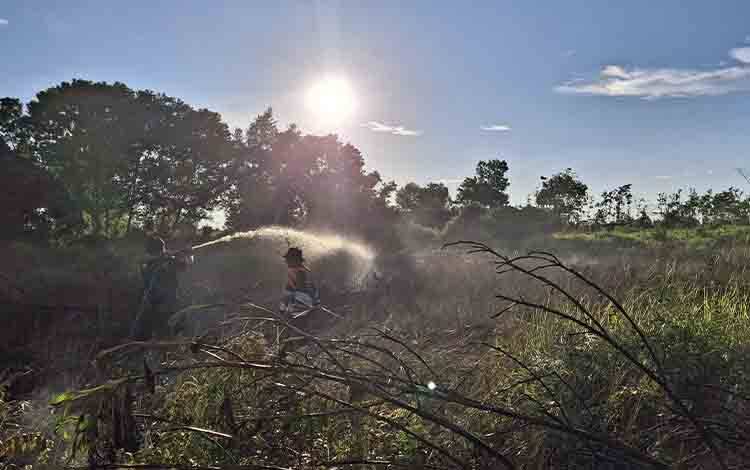 Kebakaran Hutan dan Lahan di Karya Hapakat Palangka Raya Seluas 4 Hektar