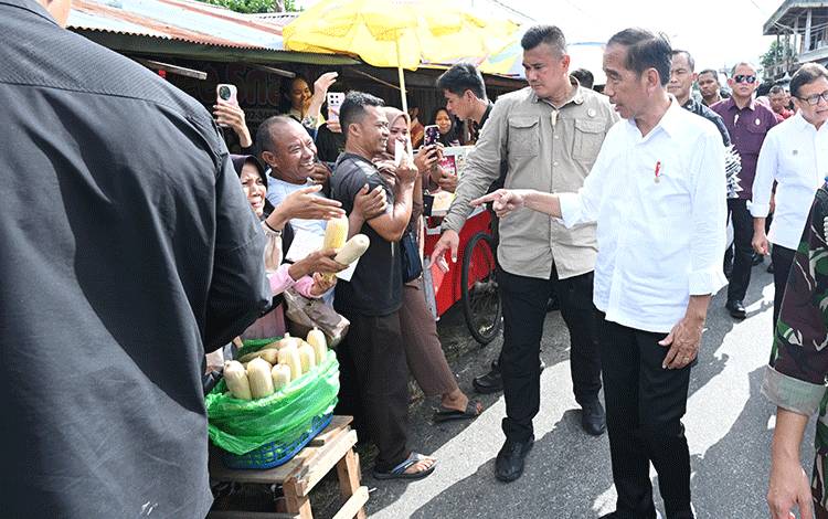 Presiden Jokowi Minta Kementerian PUPR Cek Jalan di Katingan