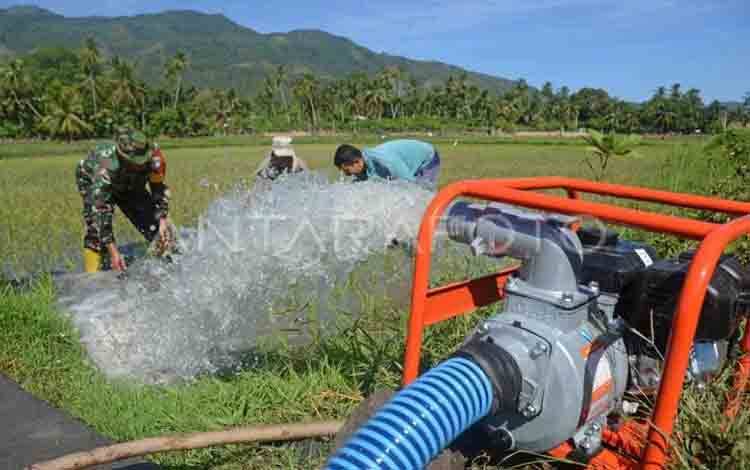 Mentan Tegaskan Pompanisasi Perlu Dimasifkan Hadapi Kekeringan Panjang