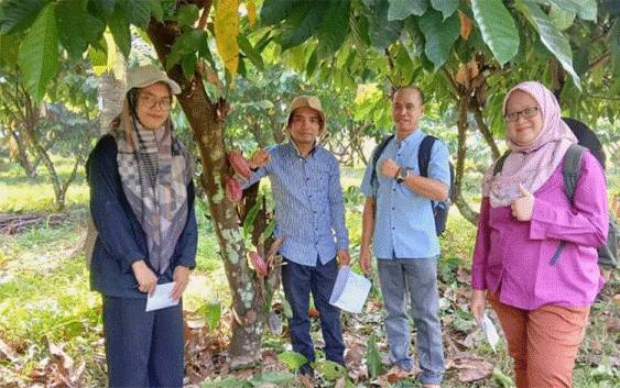 Disbun Kalteng Belajar ke Bogor soal Tumpang Sari Kakao dan Kelapa
