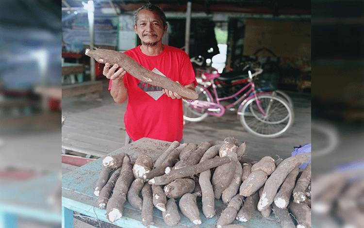 Apul, Pedagang Singkong Kristal Dapat Berkah dari Pesparawi