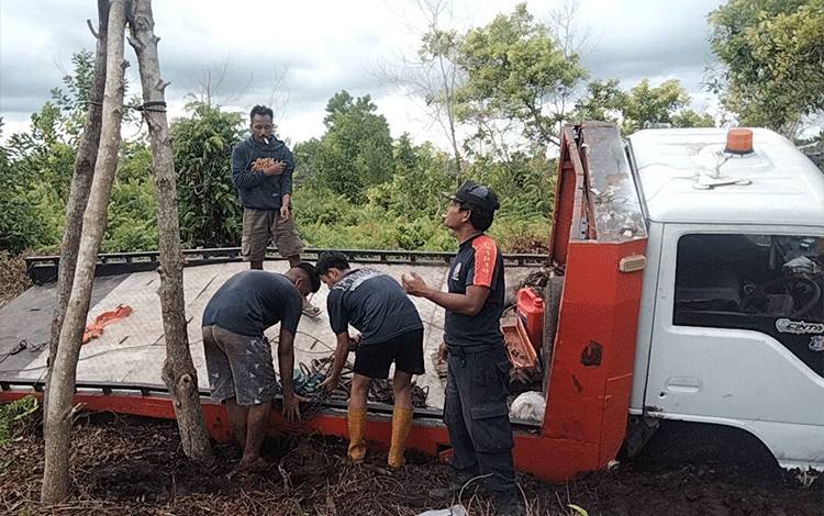 Truk Towing Terperosok di Lahan Gambut Palangka Raya