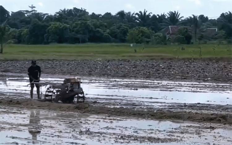 Pemprov Kalteng Dukung Penuh Program Perluasan Areal Tanam