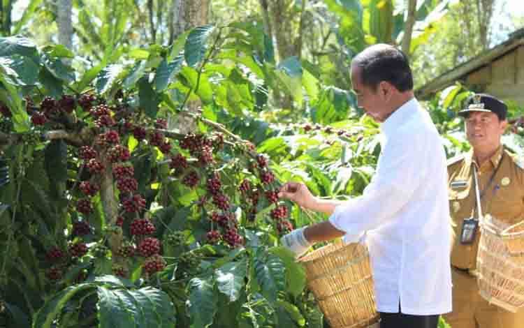 Presiden: Semua Komoditas Harus Masuk Industrialisasi dan Hilirisasi