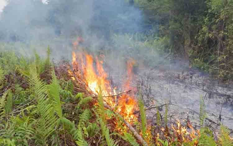 Pemkab Kotim Imbau Masyarakat Tak Bakar Lahan dan Sampah Sembarangan