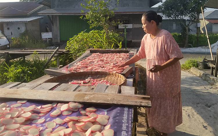 Kerupuk Ikan Khas Sukamara, Punya Prospek Bagus tapi masih Perlu Promosi Pemerintah