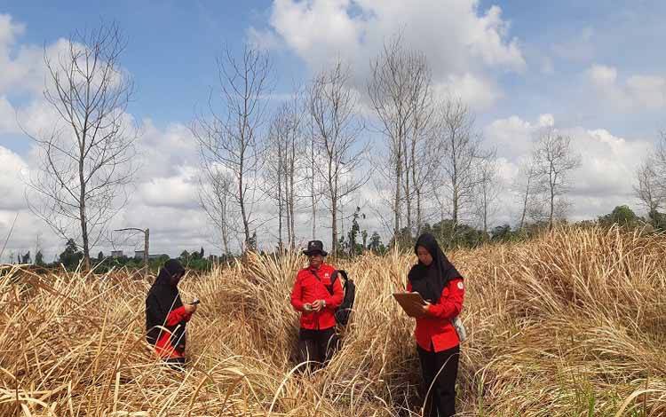 Anggota Manggala Agni Daops Kalimantan III/Pangkalan Bun, saat patroli dan deteksi dini Karhutla. (Foto : Manggala Agni)