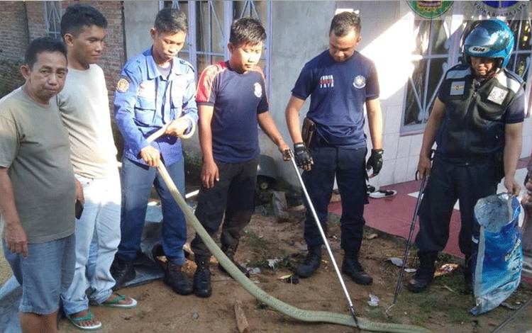 DPKP Seruyan Tingkatkan Kemampuan Personel