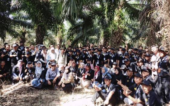 Petani Kelapa Sawit Didorong Meningkatkan Kualitas dan Terapkan Tata Kelola Kebun