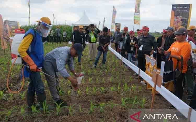 Kementerian Pertanian saat menanam benih jagung unggul di Rembug KTNA Nasional di Tabanan, Bali, Minggu (28/7/2024). ANTARA/Ni Putu Putri Muliantari