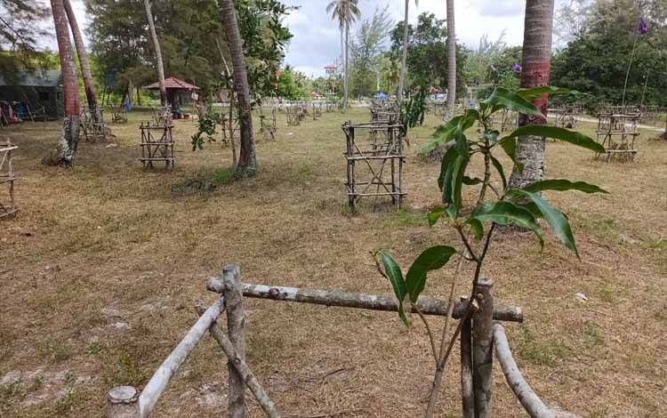 Disporaparbud Seruyan Kembangkan Wisata Pantai Sungai Bakau dengan Program Penghijauan