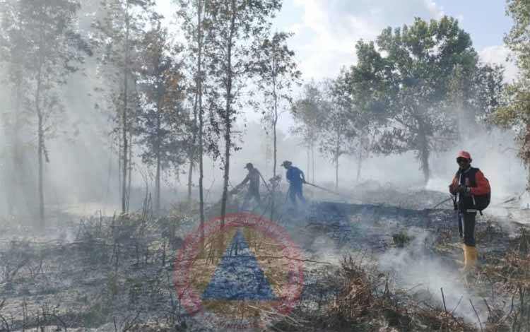 Penanganan Karhuta oleh tim terpadu di Desa Maliku Kecamatan Maliku Kabupaten Pulang Pisau. (FOTO:BPBPK KALTENG)