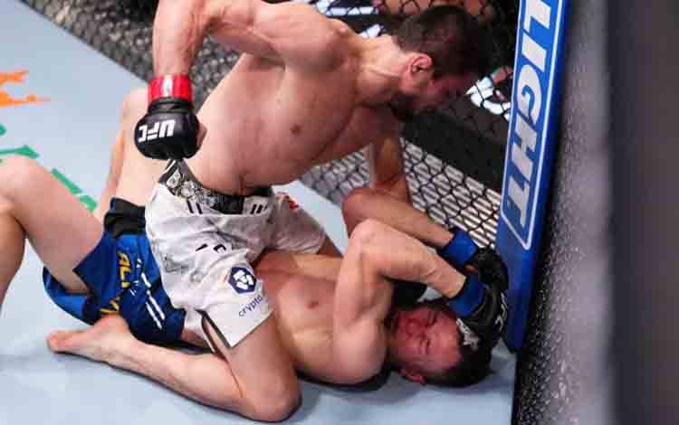 Petarung kelas batam UFC Umar Nurmagomedov (posisi di atas) saat bertarung Bekzat Almakhan (posisi di bawah). (ANTARA/Laman MMA fighting/Jeff Bottari/Zuffa LLC via Getty Images)