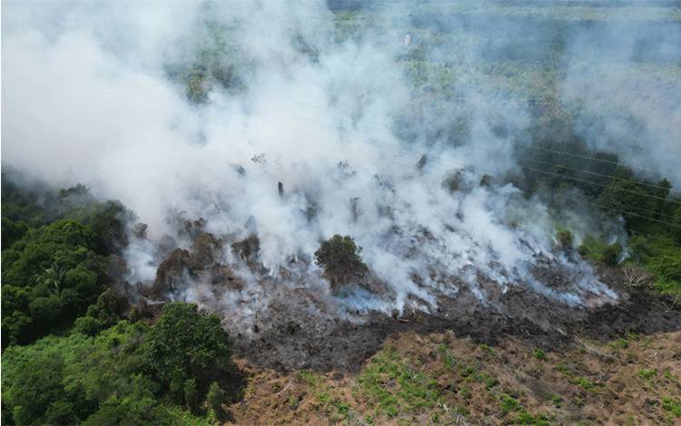 SUTET Terkepung Karhutla di Sungai Paring, Pemadaman Terus Digerakkan hingga Tengah Gelap Malam