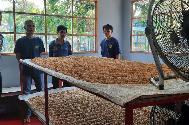 Pelatihan Produksi Tempe di Lapas Batam, Keterampilan bagi Warga Binaan